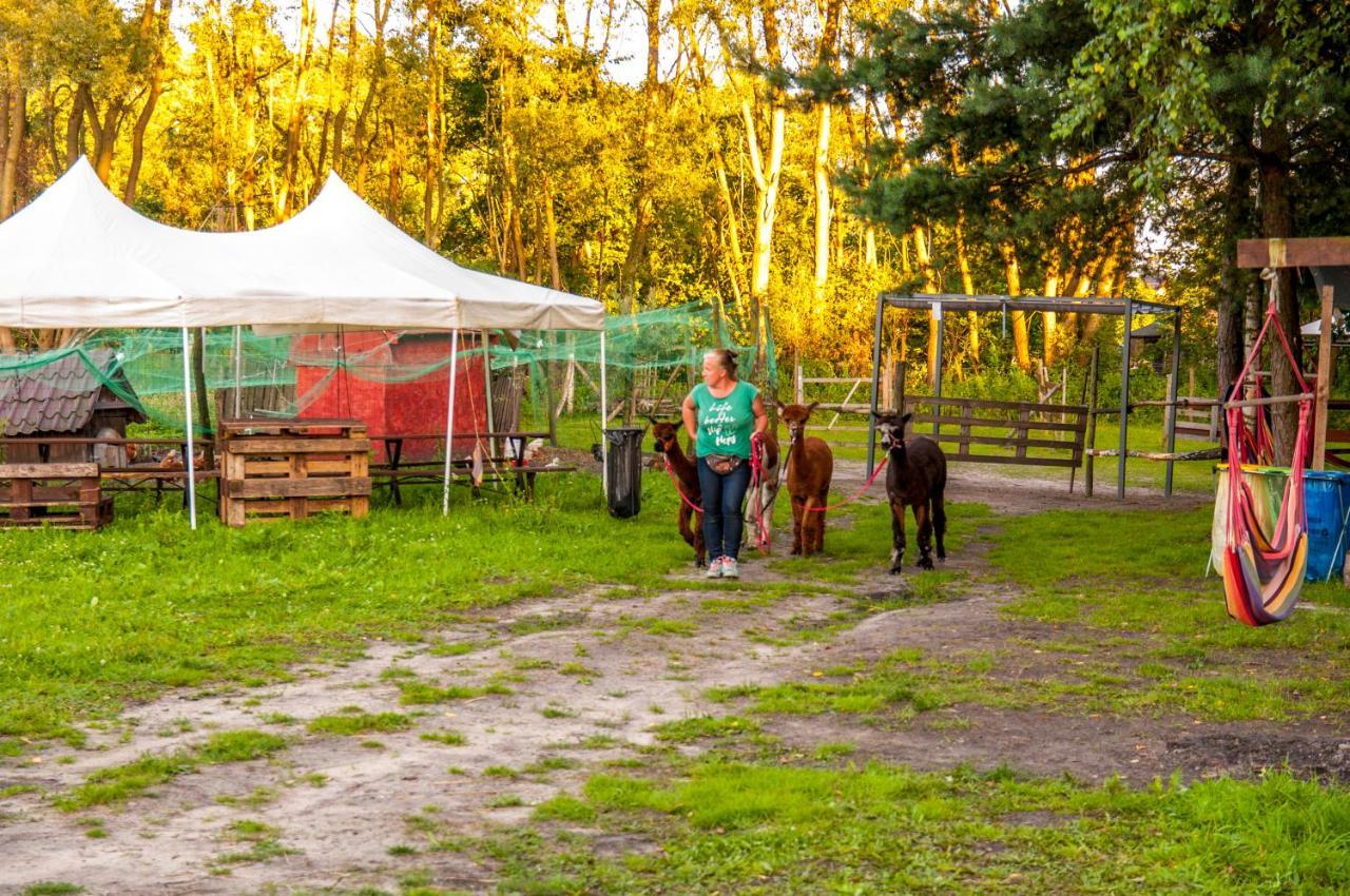 Glamping Z Alpakami Hotel Jankowice  Ngoại thất bức ảnh
